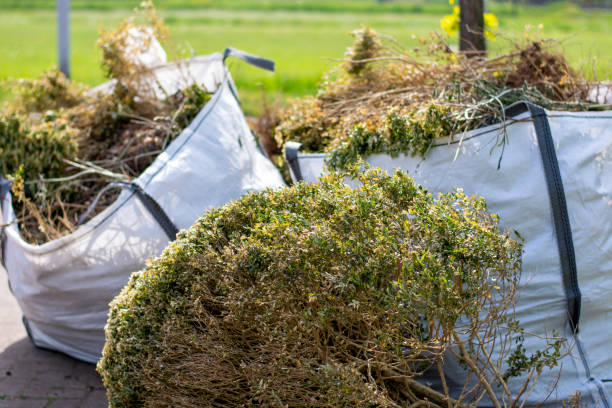 Best Office Junk Removal  in Sylvester, GA